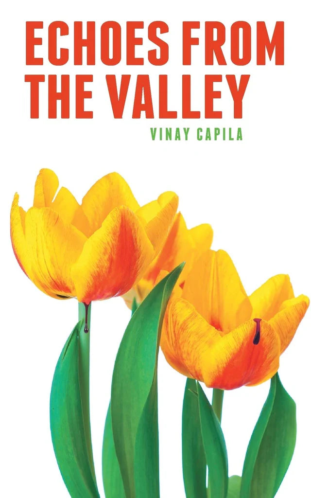Echoes from the Valley by Vinay Capila