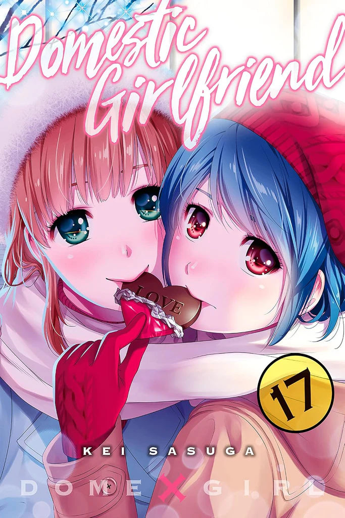Domestic Girlfriend Vol. 17 by Kei Sasuga