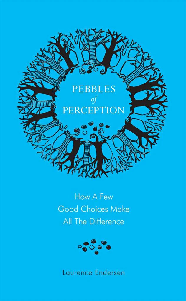 Pebbles of Perception: How a Few Good Choices Make All The Difference by Laurence Endersen