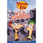 Wild Surprise by Parragon Books