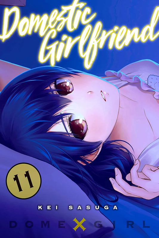 Domestic Girlfriend Vol. 11 by Kei Sasuga