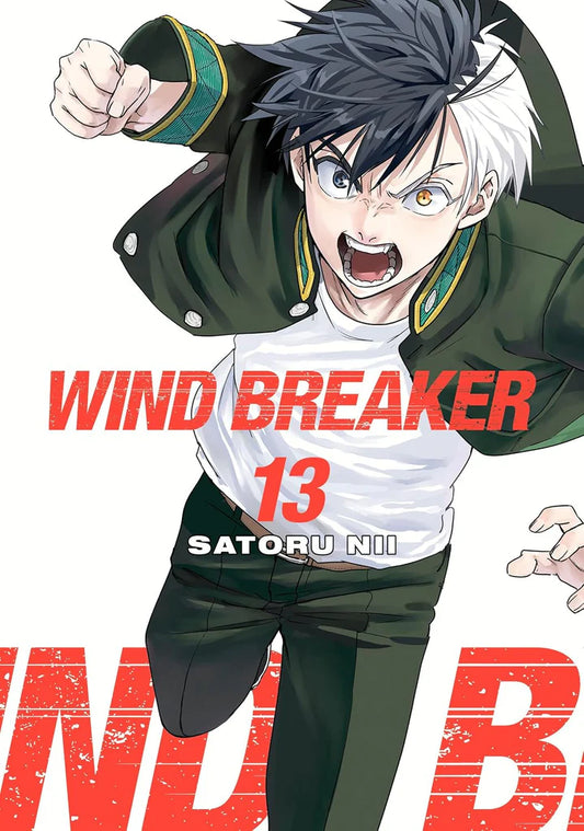 Wind Breaker 13 by Satoru Nii