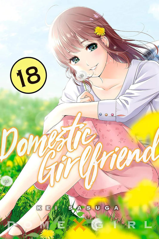 Domestic Girlfriend Vol. 18 by Kei Sasuga