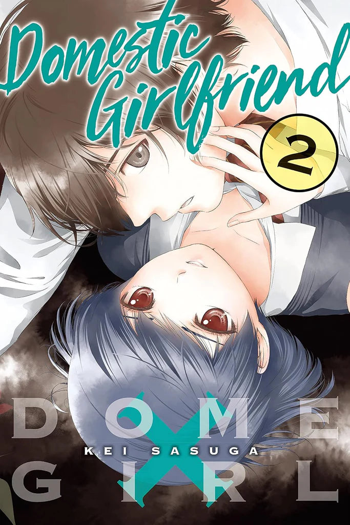Domestic Girlfriend Vol. 2 by Kei Sasuga , Kei Sasuga
