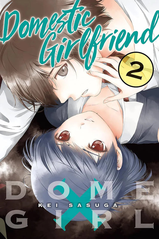 Domestic Girlfriend Vol. 2 by Kei Sasuga , Kei Sasuga