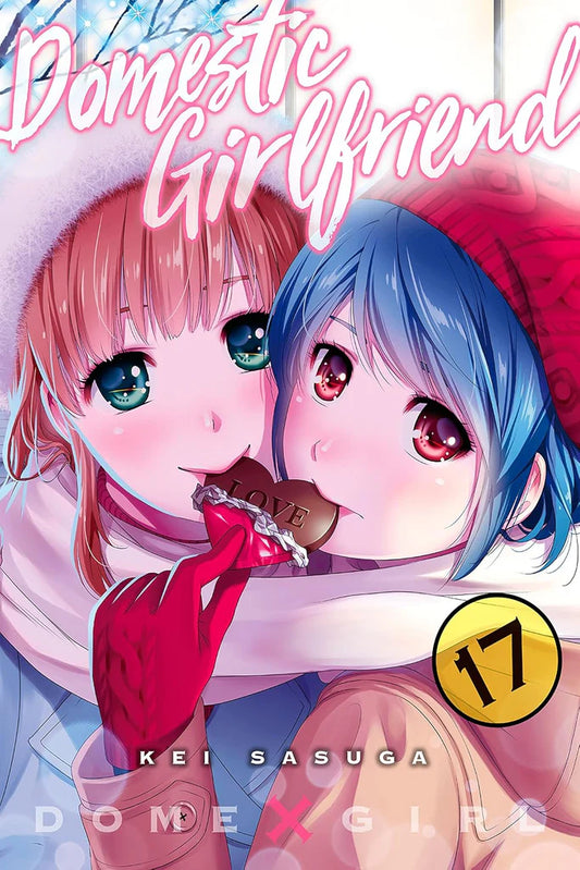 Domestic Girlfriend Vol. 17 by Kei Sasuga