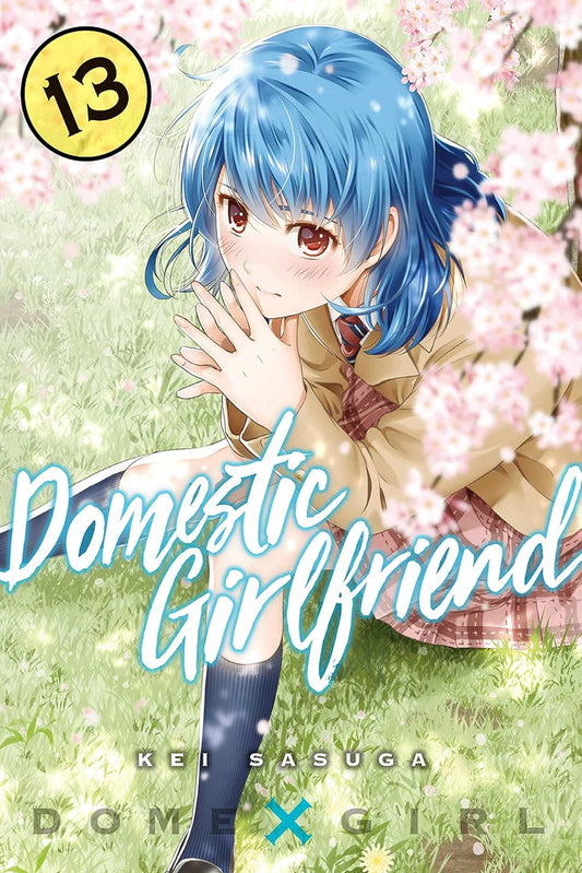 Domestic Girlfriend Vol. 13 by Kei Sasuga