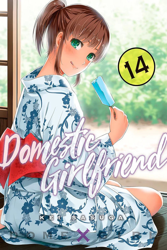 Domestic Girlfriend Vol. 14 by Kei Sasuga