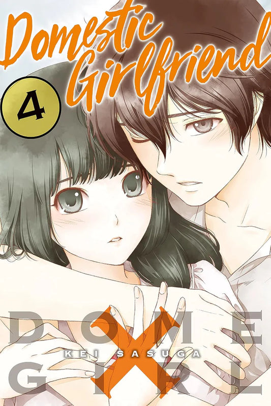 Domestic Girlfriend Vol. 4 by Kei Sasuga , Kei Sasuga