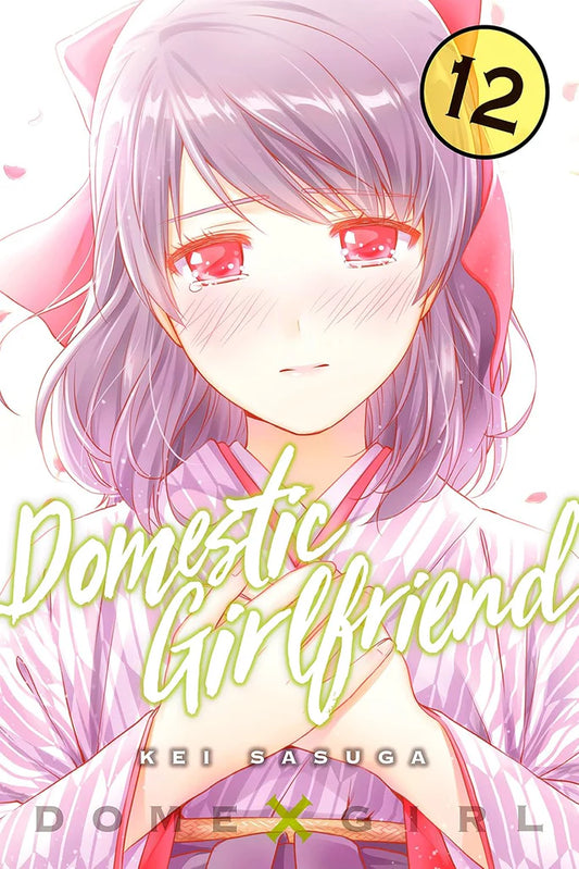 Domestic Girlfriend Vol. 12 by Kei Sasuga